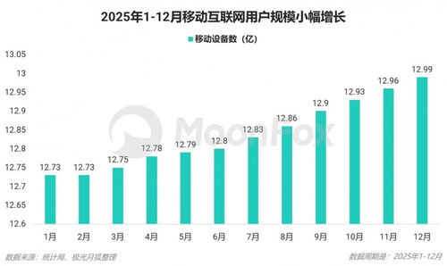 2025年第四季度移動互聯網行業數據研究報告 數據服務領域的深度洞察