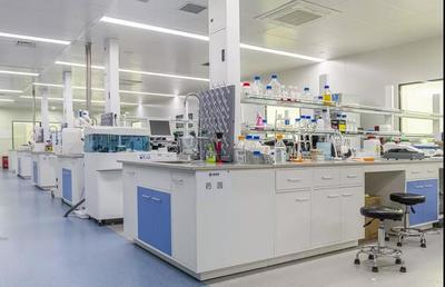 南京腦觀象臺揭牌 中國又一“腦科學工廠”誕生，賦能高校科技與計算機技術開發